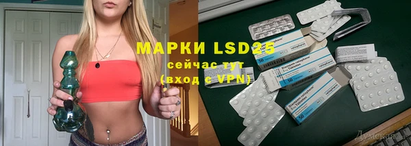индика Бронницы