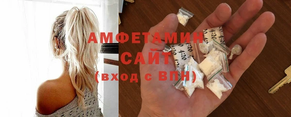 индика Бронницы
