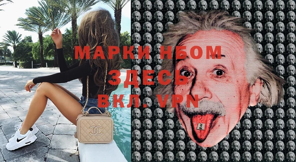 индика Бронницы