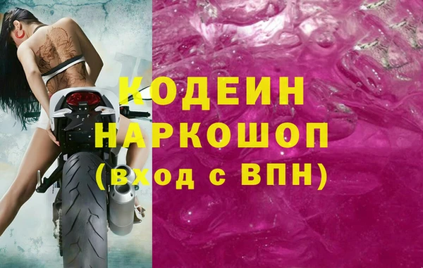индика Бронницы