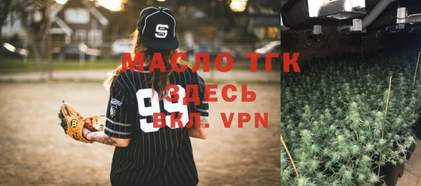 индика Бронницы
