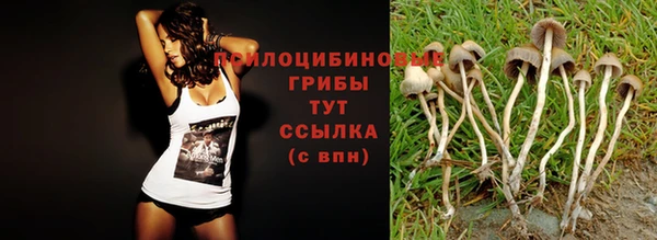 спиды Верея